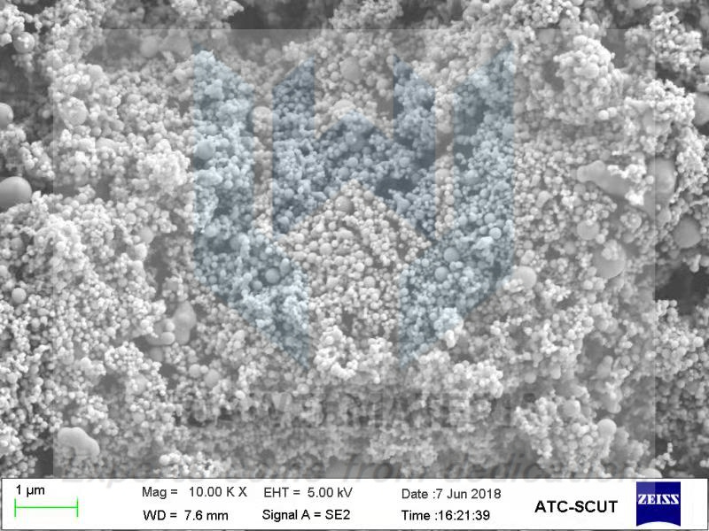 nano silver powder SEM