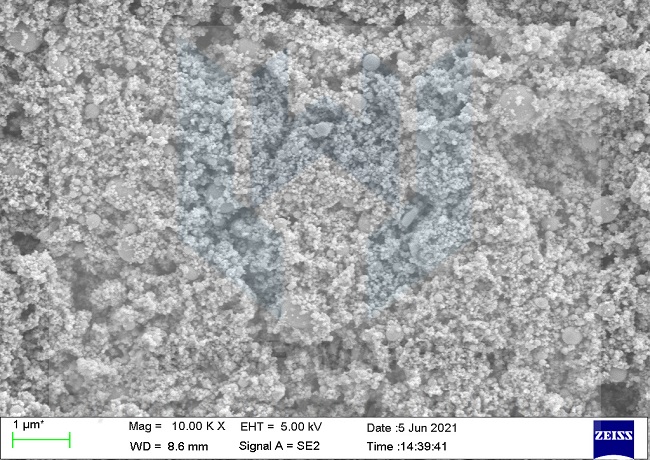 Nano-Tantalum powder SEM